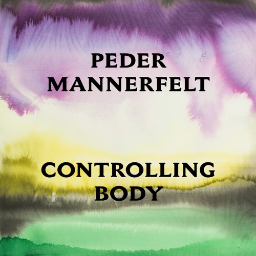 peder mannerfelt controlling body